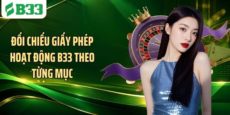 Đối chiếu giấy phép hoạt động B33 theo từng mục
