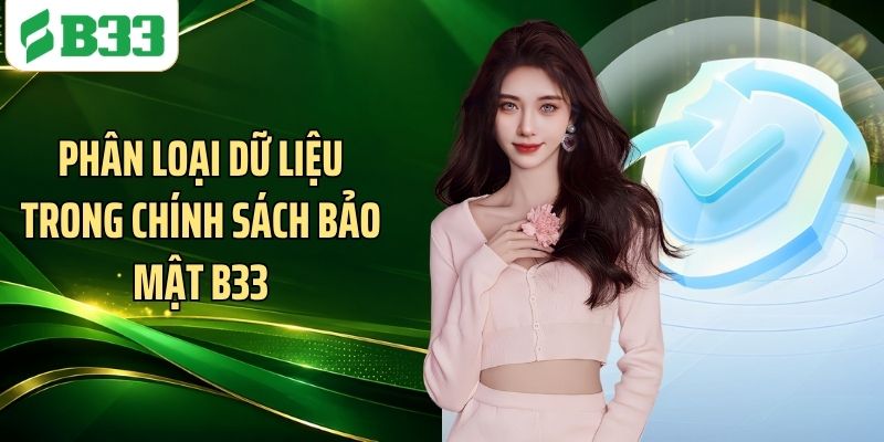Phân loại dữ liệu trong chính sách bảo mật B33
